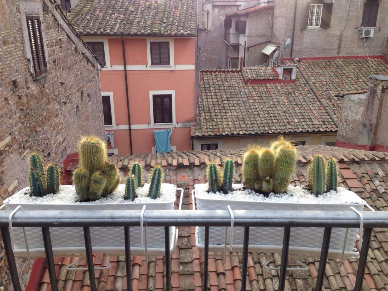 Bbhomerome - Campo Dei Fiori Balcony View Penthouse Екстериор снимка